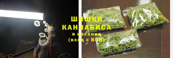сатива Козельск