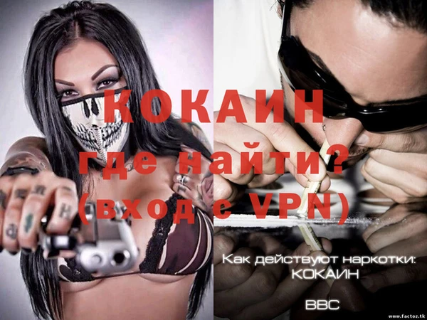 сатива Козельск