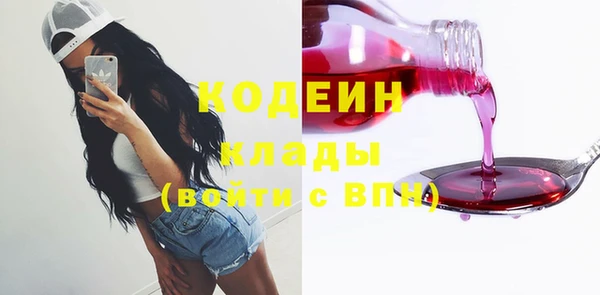сатива Козельск