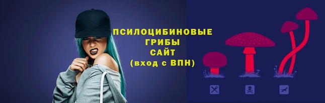spice Кодинск