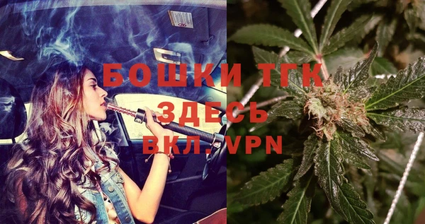 сатива Козельск