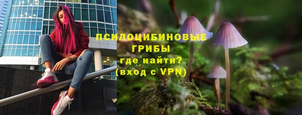 spice Кодинск