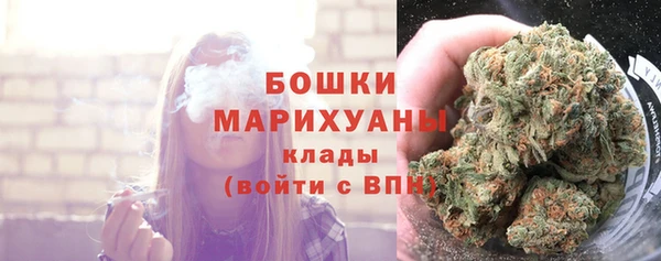 сатива Козельск