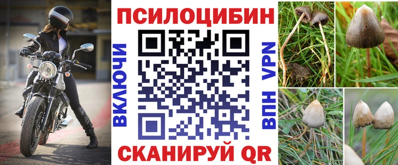 Галлюциногенные грибы мицелий  кракен вход  Невинномысск  купить наркоту 